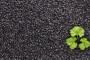 Food and cookery background of healthy dried  black lentils.