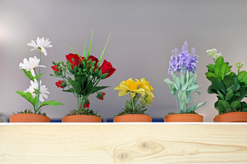 Flowers in Pots