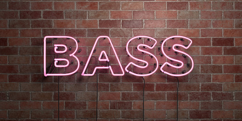 BASS - fluorescent Neon tube Sign on brickwork - Front view - 3D rendered royalty free stock picture. Can be used for online banner ads and direct mailers..
