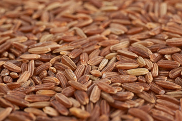 Surface coated with the brown rice grains