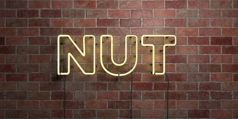 NUT - fluorescent Neon tube Sign on brickwork - Front view - 3D rendered royalty free stock picture. Can be used for online banner ads and direct mailers..