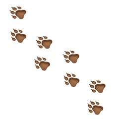 Paw Prints. Logo. Vector Illustration. Isolated vector Illustration. Wolf footprints.
wolf tracks in the ground
