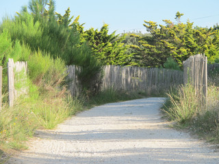 sunny path goes directly to the beach and the sea