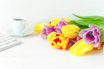 Tulips on white wood table