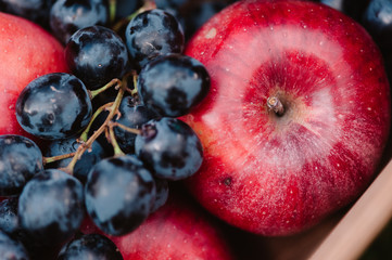 Autumnal composition of apples and grape