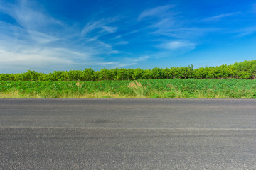 Fototapeta premium Asphalt road and countryside views