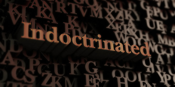 Indoctrinated - Wooden 3D rendered letters/message.  Can be used for an online banner ad or a print postcard.