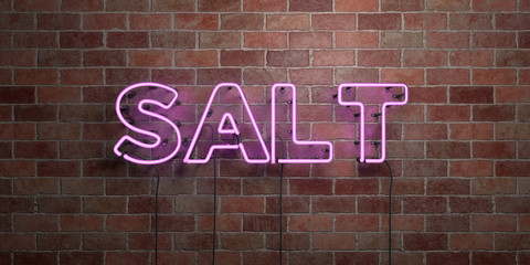 Fototapeta na wymiar SALT - fluorescent Neon tube Sign on brickwork - Front view - 3D rendered royalty free stock picture. Can be used for online banner ads and direct mailers..