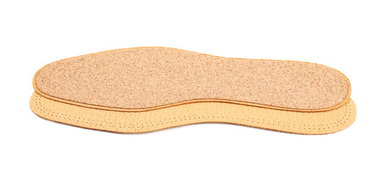 Pair of shoe insoles isolated
