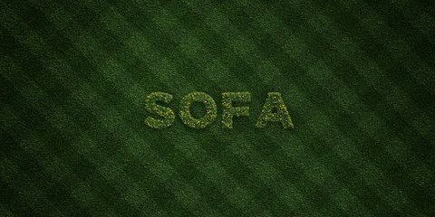 SOFA - fresh Grass letters with flowers and dandelions - 3D rendered royalty free stock image. Can be used for online banner ads and direct mailers..