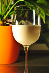 glass of milk on the table