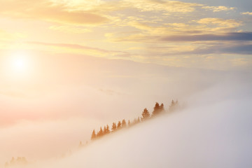 Fototapety  Niesamowity mglisty wschód słońca w górach latem