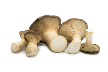 Cardoncelli freschi su fondo bianco