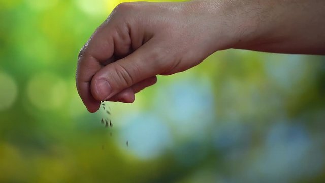 Close-up slow motion video of men's hand with spices on the kitchen