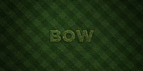 BOW - fresh Grass letters with flowers and dandelions - 3D rendered royalty free stock image. Can be used for online banner ads and direct mailers..