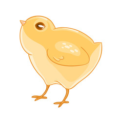 Cute cartoon yellow chicken.