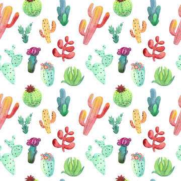 Watercolor cactus seamless pattern. Colorful vibrant cactus succulents