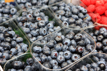 Berries at the farmers market, Vienna, Austria