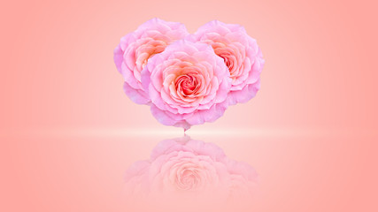 Fototapeta na wymiar Heart shape from a pink rose.