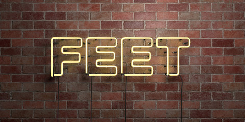 Fototapeta na wymiar FEET - fluorescent Neon tube Sign on brickwork - Front view - 3D rendered royalty free stock picture. Can be used for online banner ads and direct mailers..