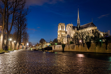 Fototapeta na wymiar Notre-Dame de Paris and Seine river at blue hour