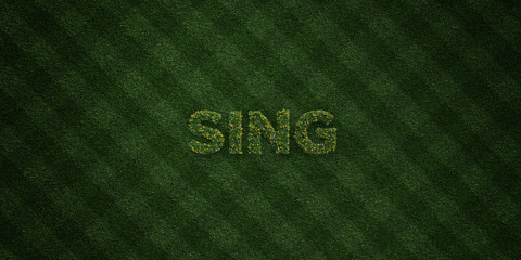 SING - fresh Grass letters with flowers and dandelions - 3D rendered royalty free stock image. Can be used for online banner ads and direct mailers..