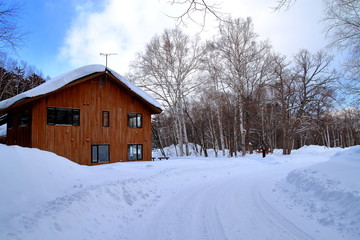 House in the woods