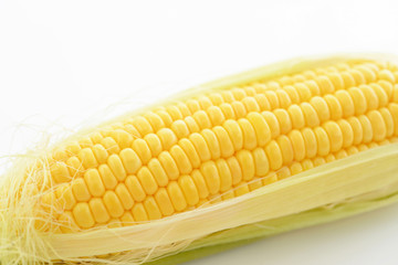 新鮮なトウモロコシ