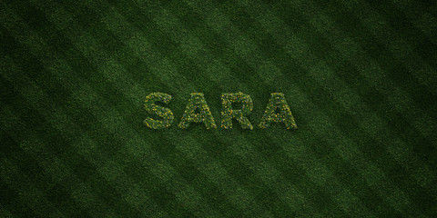 SARA - fresh Grass letters with flowers and dandelions - 3D rendered royalty free stock image. Can be used for online banner ads and direct mailers..