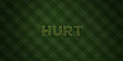 HURT - fresh Grass letters with flowers and dandelions - 3D rendered royalty free stock image. Can be used for online banner ads and direct mailers..