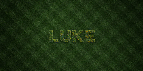 LUKE - fresh Grass letters with flowers and dandelions - 3D rendered royalty free stock image. Can be used for online banner ads and direct mailers..