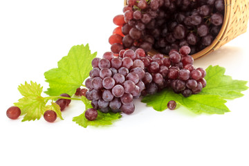 Ripe fresh Organic Table grapes, Champagne Grapes with grape leaves in wicker basket isolated on white background. Small fruit, Snacks for Weight Loss and Diet. Selective focus.