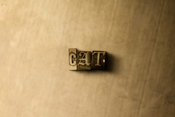 CAT - close-up of grungy vintage typeset word on metal backdrop. Royalty free stock illustration.  Can be used for online banner ads and direct mail.