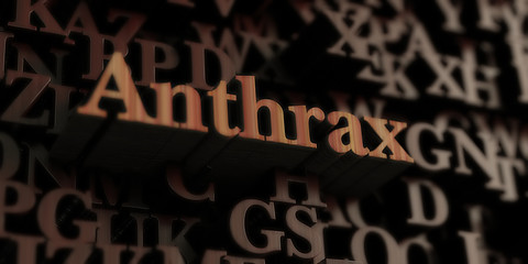 Anthrax - Wooden 3D rendered letters/message.  Can be used for an online banner ad or a print postcard.