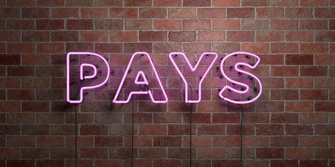 Obraz premium PAYS - fluorescent Neon tube Sign on brickwork - Front view - 3D rendered royalty free stock picture. Can be used for online banner ads and direct mailers..
