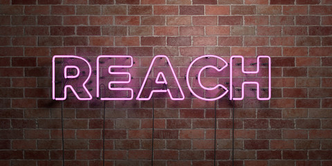 Obraz premium REACH - fluorescent Neon tube Sign on brickwork - Front view - 3D rendered royalty free stock picture. Can be used for online banner ads and direct mailers..