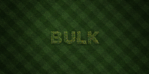 BULK - fresh Grass letters with flowers and dandelions - 3D rendered royalty free stock image. Can be used for online banner ads and direct mailers..