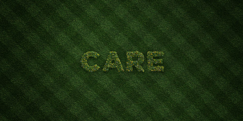 CARE - fresh Grass letters with flowers and dandelions - 3D rendered royalty free stock image. Can be used for online banner ads and direct mailers..