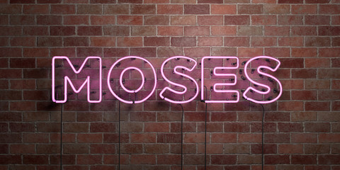 MOSES - fluorescent Neon tube Sign on brickwork - Front view - 3D rendered royalty free stock picture. Can be used for online banner ads and direct mailers..