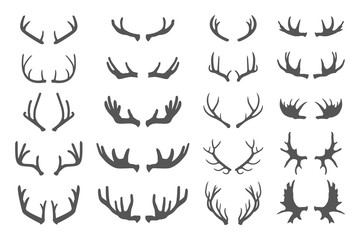 Deer antlers set.
