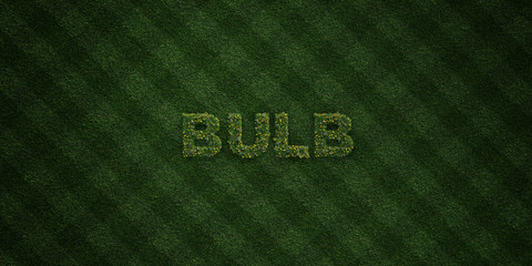 BULB - fresh Grass letters with flowers and dandelions - 3D rendered royalty free stock image. Can be used for online banner ads and direct mailers..