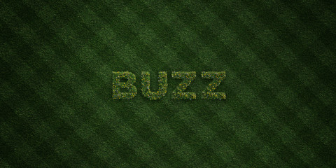 BUZZ - fresh Grass letters with flowers and dandelions - 3D rendered royalty free stock image. Can be used for online banner ads and direct mailers..