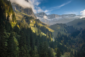 Lovely alpine scenery with beautiful forest,  high mountains and deep valley
