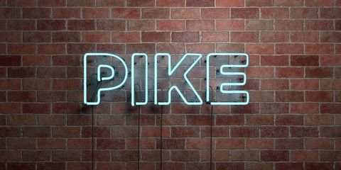 Obraz premium PIKE - fluorescent Neon tube Sign on brickwork - Front view - 3D rendered royalty free stock picture. Can be used for online banner ads and direct mailers..