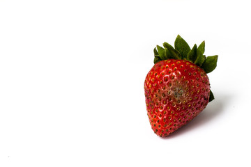 Red ripe strawberries rotten, which have a white mold. Isolated on white background. No longer suitable for consumption.