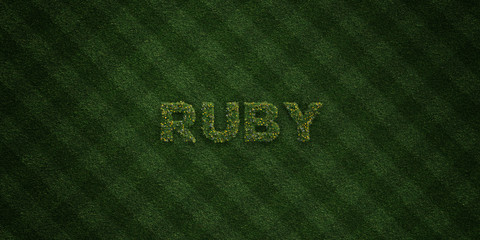 RUBY - fresh Grass letters with flowers and dandelions - 3D rendered royalty free stock image. Can be used for online banner ads and direct mailers..