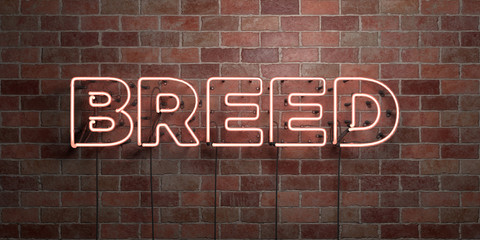 BREED - fluorescent Neon tube Sign on brickwork - Front view - 3D rendered royalty free stock picture. Can be used for online banner ads and direct mailers..