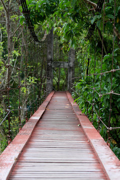 The bridge is surrounded by mangrove trees © weerayut