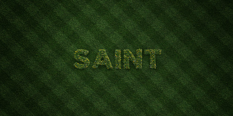 SAINT - fresh Grass letters with flowers and dandelions - 3D rendered royalty free stock image. Can be used for online banner ads and direct mailers..