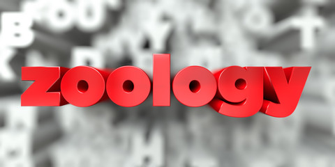 zoology -  Red text on typography background - 3D rendered royalty free stock image. This image can be used for an online website banner ad or a print postcard. - obrazy, fototapety, plakaty